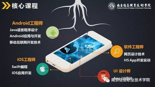 南京信息職業(yè)技術(shù)學(xué)院計(jì)算機(jī)與軟件學(xué)院高招專業(yè)介紹 計(jì)算機(jī)軟件技術(shù)開發(fā)